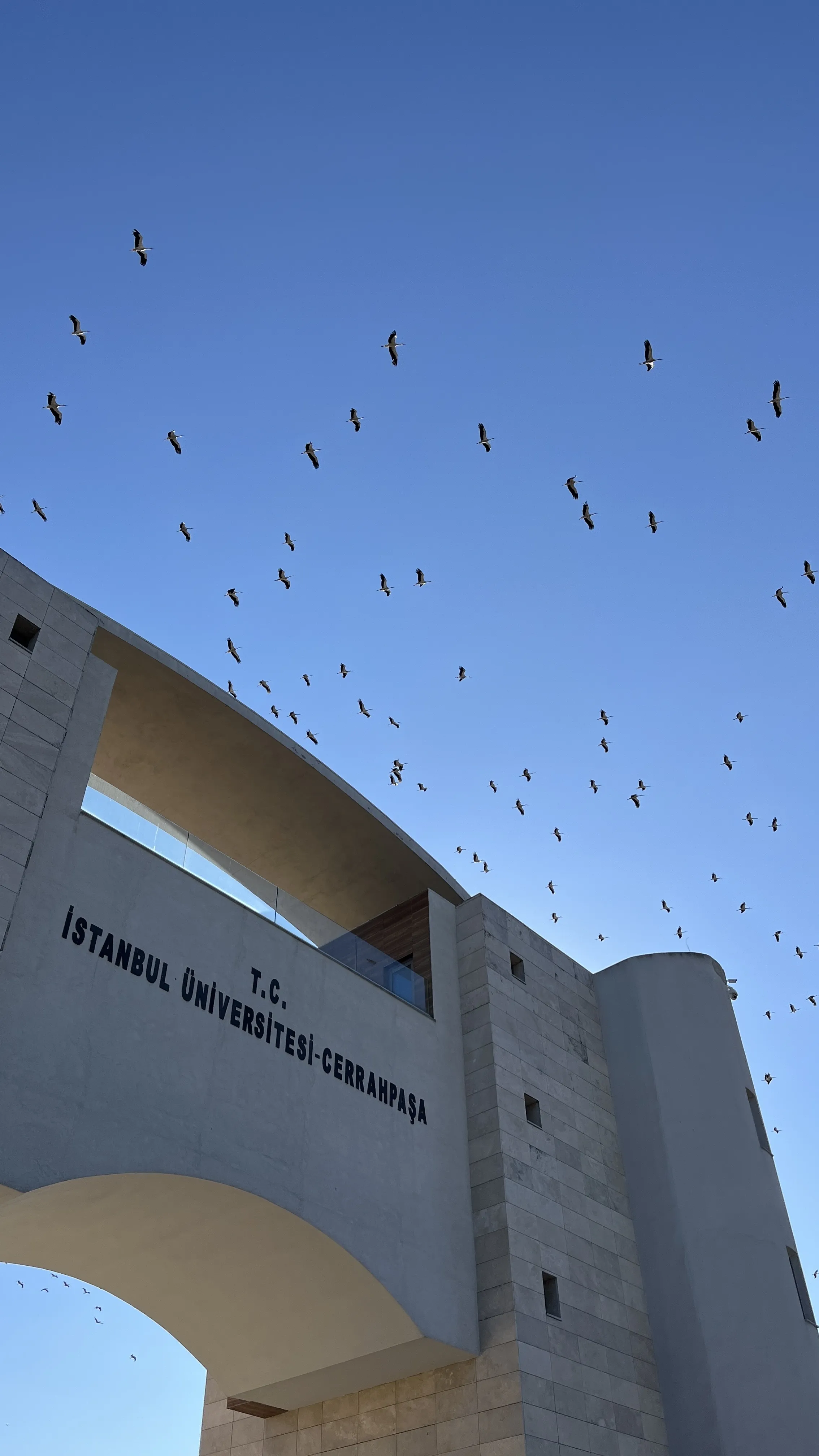 Avcılar İÜC